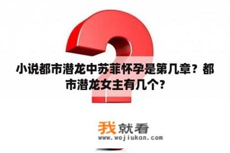 小说都市潜龙中苏菲怀孕是第几章？都市潜龙女主有几个？