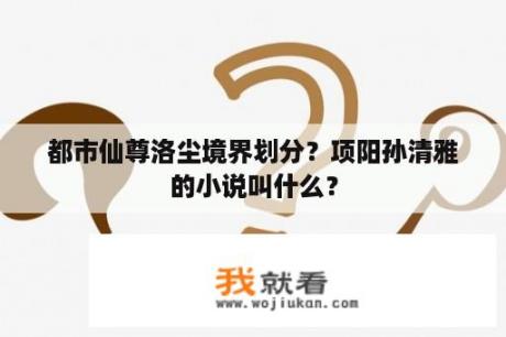 都市仙尊洛尘境界划分？项阳孙清雅的小说叫什么？