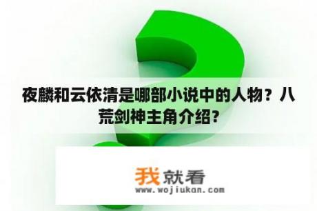 夜麟和云依清是哪部小说中的人物？八荒剑神主角介绍？