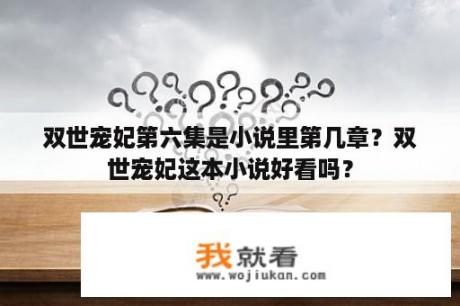 双世宠妃第六集是小说里第几章？双世宠妃这本小说好看吗？