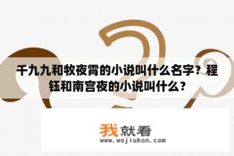 千九九和牧夜霄的小说叫什么名字？程钰和南宫夜的小说叫什么？