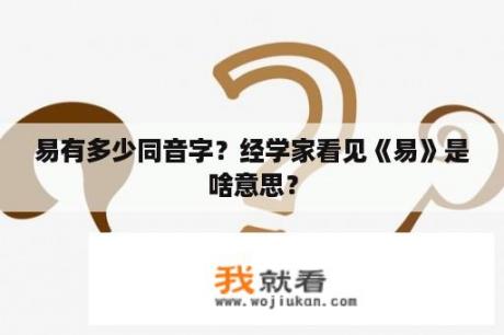 易有多少同音字？经学家看见《易》是啥意思？