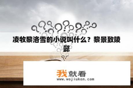 凌牧黎洛雪的小说叫什么？黎景致陵懿