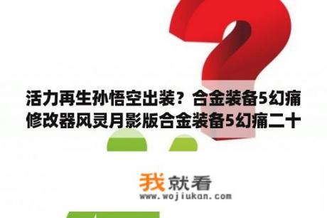 活力再生孙悟空出装？合金装备5幻痛修改器风灵月影版合金装备5幻痛二十二项修