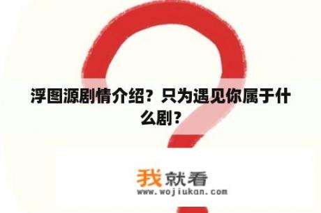 浮图源剧情介绍？只为遇见你属于什么剧？