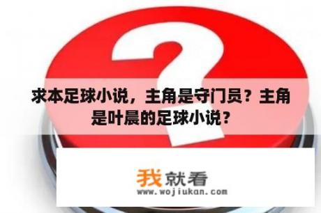 求本足球小说，主角是守门员？主角是叶晨的足球小说？