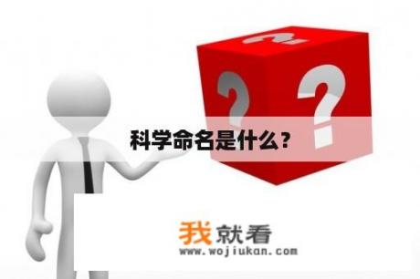 科学命名是什么？