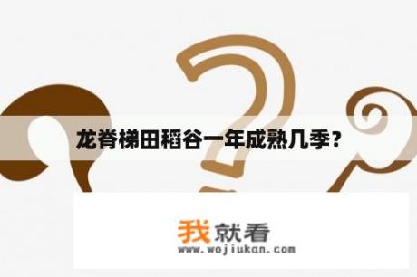 龙脊梯田稻谷一年成熟几季？