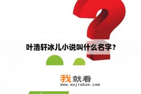 叶浩轩冰儿小说叫什么名字？