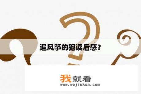 追风筝的狍读后感？