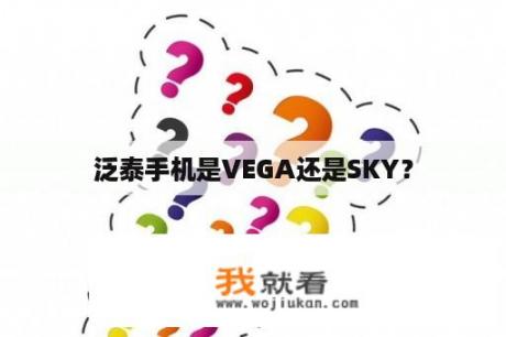 泛泰手机是VEGA还是SKY？