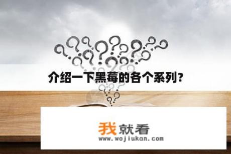 介绍一下黑莓的各个系列？