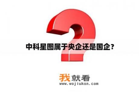 中科星图属于央企还是国企？