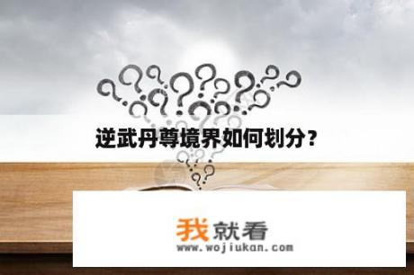 逆武丹尊境界如何划分？