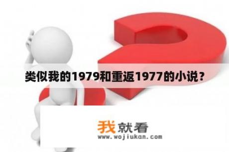 类似我的1979和重返1977的小说？