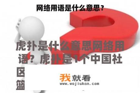 网络用语是什么意思？
