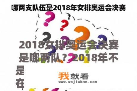 哪两支队伍是2018年女排奥运会决赛？