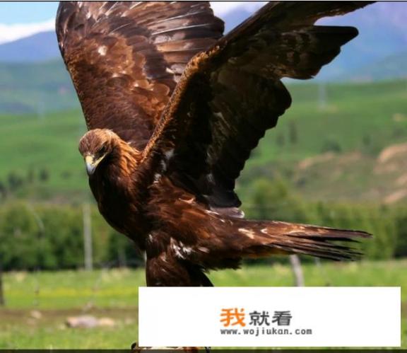 怎么阐明  “善中有恶，恶中有善”？