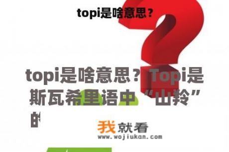 topi是啥意思？