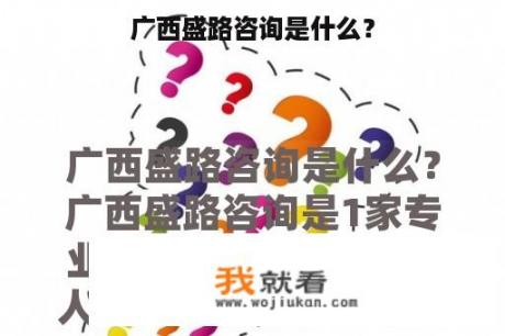 广西盛路咨询是什么？