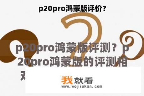 p20pro鸿蒙版评价？