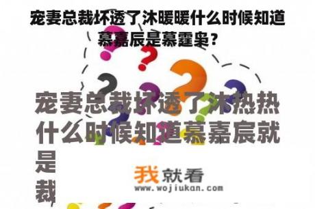 宠妻总裁坏透了沐暖暖什么时候知道慕嘉辰是慕霆枭？