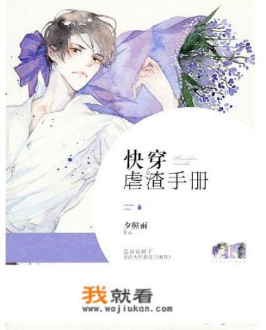 求好看的无CP快穿男主文？