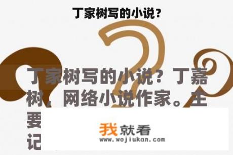 丁家树写的小说？