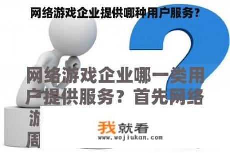 网络游戏企业提供哪种用户服务？