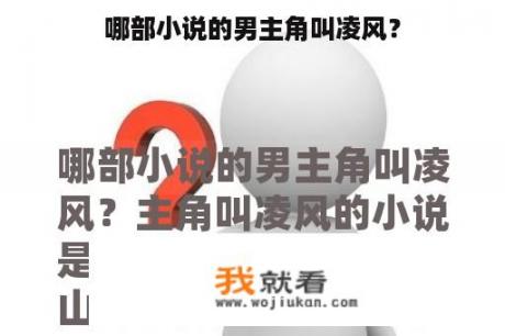 哪部小说的男主角叫凌风？