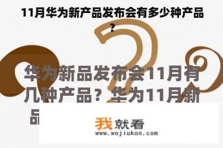 11月华为新产品发布会有多少种产品？