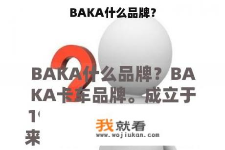 BAKA什么品牌？