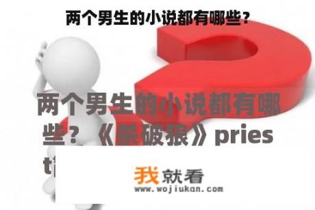 两个男生的小说都有哪些？
