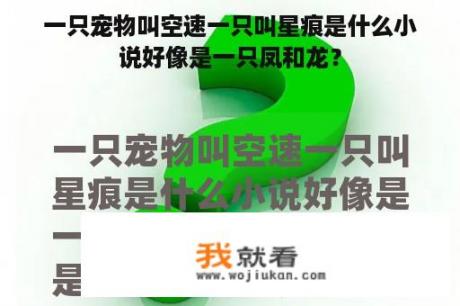 一只宠物叫空速一只叫星痕是什么小说好像是一只凤和龙？