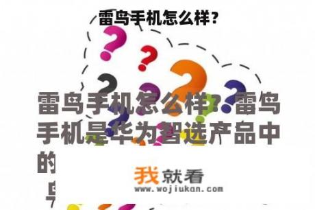 雷鸟手机怎么样？