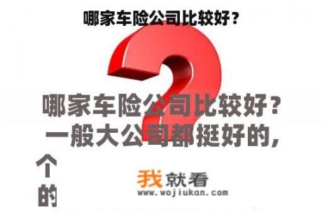 哪家车险公司比较好？