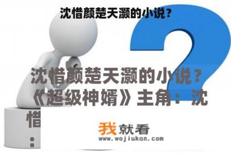 沈惜颜楚天灏的小说？