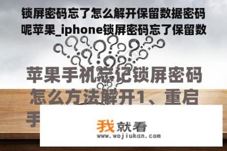 锁屏密码忘了怎么解开保留数据密码呢苹果_iphone锁屏密码忘了保留数据