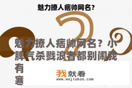 魅力撩人痞帅网名？