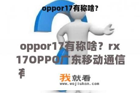 oppor17有称啥？