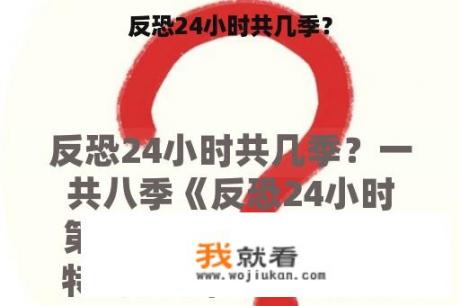 反恐24小时共几季？