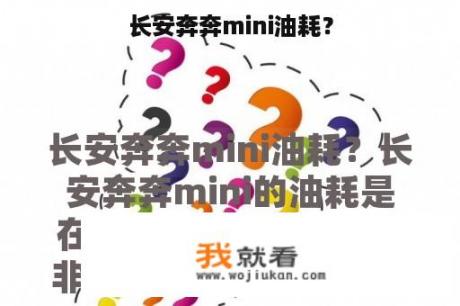长安奔奔mini油耗？