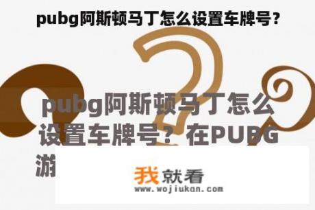 pubg阿斯顿马丁怎么设置车牌号？