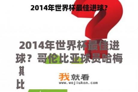 2014年世界杯最佳进球？