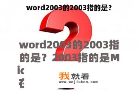 word2003的2003指的是？