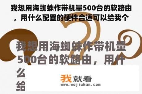 我想用海蜘蛛作带机量500台的软路由，用什么配置的硬件合适可以给我个硬件配置清单吗？