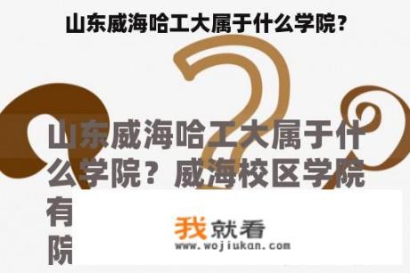 山东威海哈工大属于什么学院？