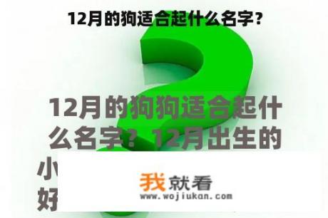 12月的狗适合起什么名字？