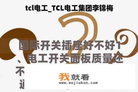 tcl电工_TCL电工集团李锦梅