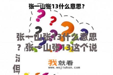 张一山张13什么意思？